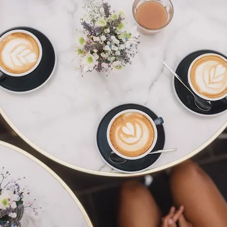 Du Centre, Un Ammi 2* 尼斯