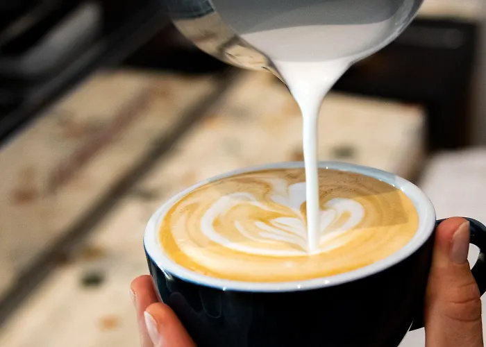 Du Centre, Un Ammi 2*